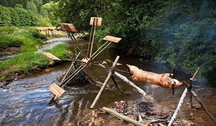 carpbook - 138243514248062144020551968456976n.jpg